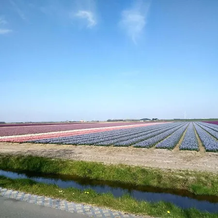 Campeggio Blokhut Eindeloos Petten